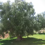 منزل ريفي La Vigna Vecchia فاسانو