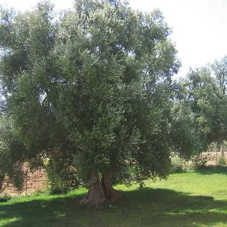 Country house La Vigna Vecchia *
